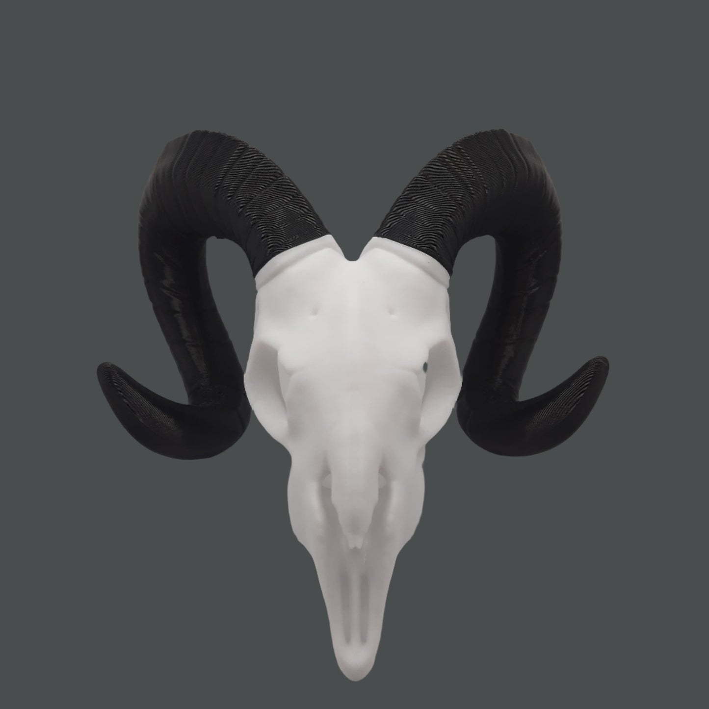 Ram Skull - 3D Printed
