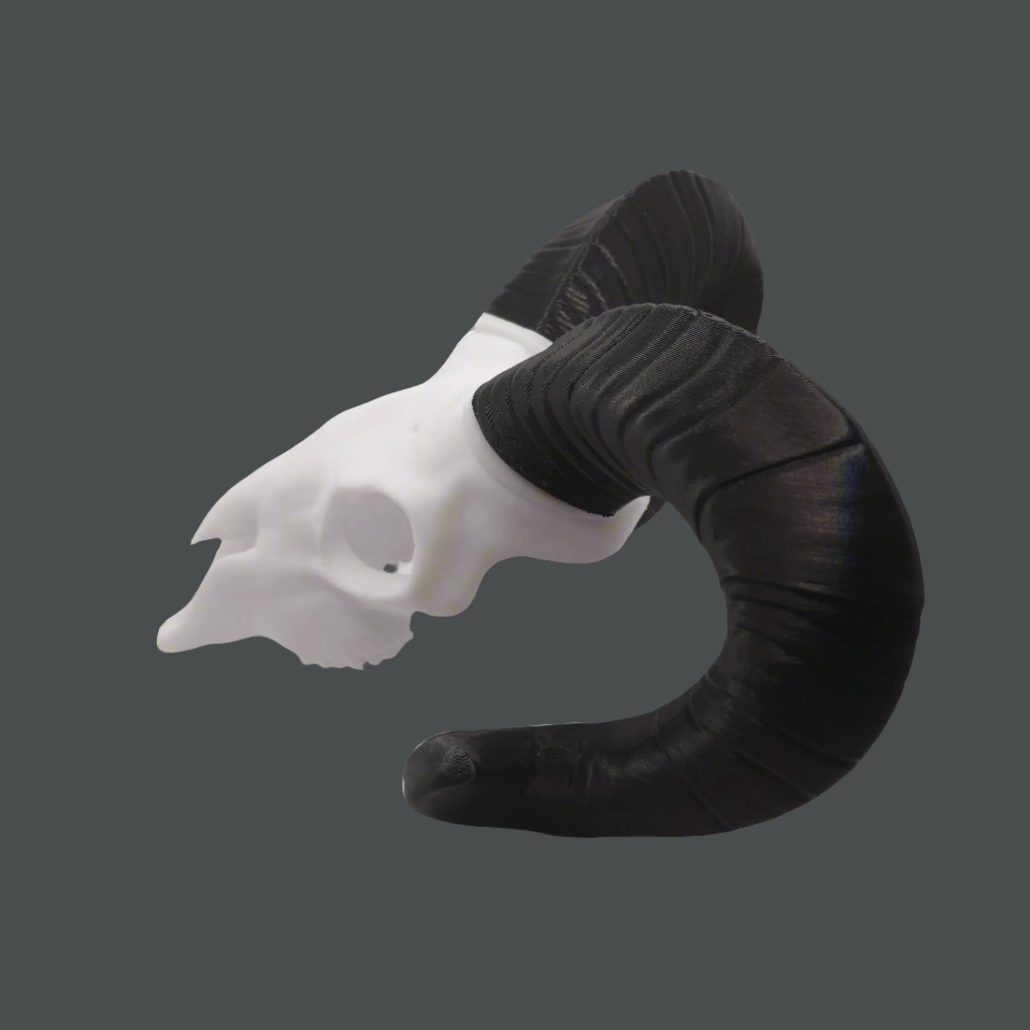 Ram Skull - 3D Printed