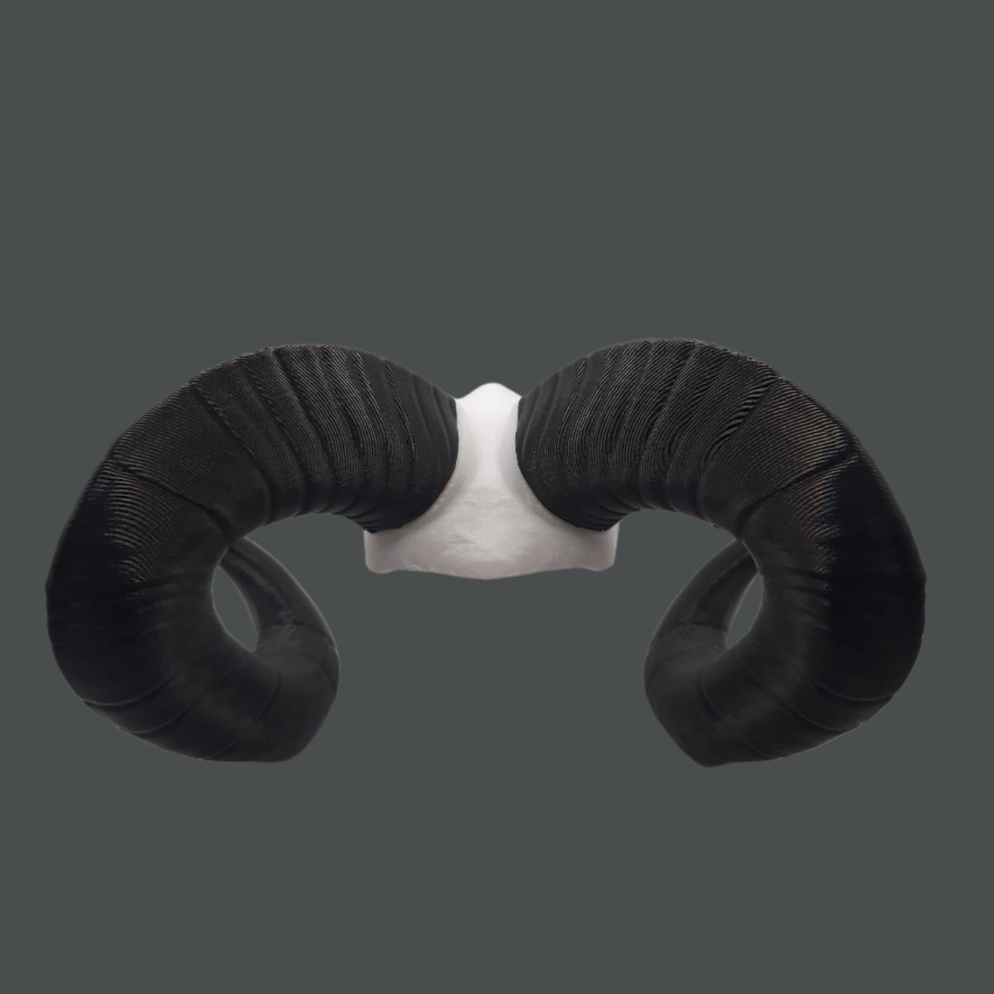 Ram Skull - 3D Printed