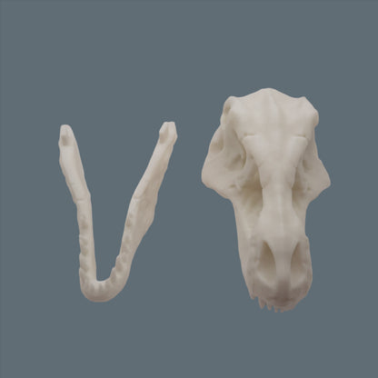 3D Printed T-Rex Skull